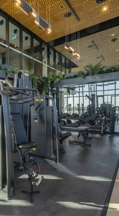 WELLNESS - UPDATED