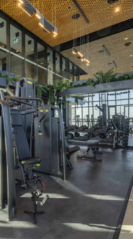WELLNESS - UPDATED